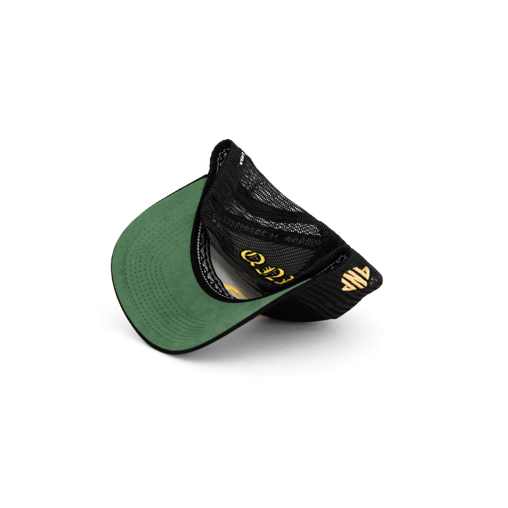 QNP XIII ‘The Presidential’